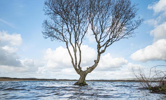 Kenfig Pool